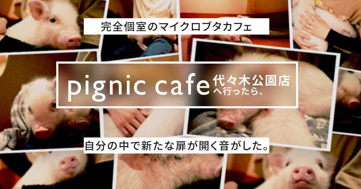 マイクロブタカフェpignic cafe代々木公園店のおすすめポイントを紹介