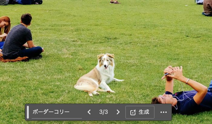 Photoshopによって生成されたボーダーコリーのスクリーンショット